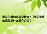 温文尔雅的意思是什么?（温文儒雅的意思是什么简介介绍）