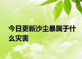 今日更新沙尘暴属于什么灾害