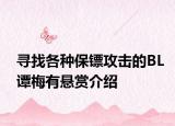 寻找各种保镖攻击的BL谭梅有悬赏介绍