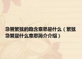 急管繁弦的隐含意思是什么（繁弦急管是什么意思简介介绍）