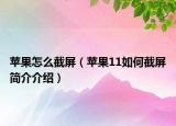 苹果怎么截屏（苹果11如何截屏简介介绍）