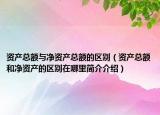 资产总额与净资产总额的区别（资产总额和净资产的区别在哪里简介介绍）