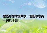曹杨中学附属中学（曹阳中学高一有几个班）