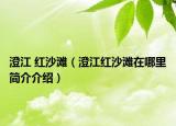 澄江 红沙滩（澄江红沙滩在哪里简介介绍）