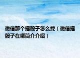 微信那个摇骰子怎么找（微信摇骰子在哪简介介绍）