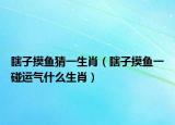 瞎子摸鱼猜一生肖（瞎子摸鱼一碰运气什么生肖）
