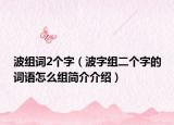 波组词2个字（波字组二个字的词语怎么组简介介绍）
