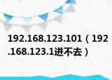 192.168.123.101（192.168.123.1进不去）
