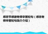 感恩节感谢老师辛苦短句（感恩老师辛苦短句简介介绍）