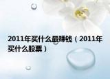 2011年买什么最赚钱（2011年买什么股票）