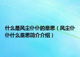 什么是风尘仆仆的意思（风尘仆仆什么意思简介介绍）