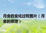 月食的变化过程图片（月食的原理）