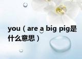 you（are a big pig是什么意思）