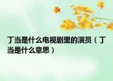 丁当是什么电视剧里的演员（丁当是什么意思）