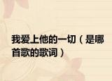 我爱上他的一切（是哪首歌的歌词）