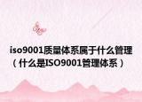 iso9001质量体系属于什么管理（什么是ISO9001管理体系）