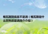 格瓦斯到底是不是酒（格瓦斯是什么饮料还是酒简介介绍）