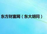 东方财富网（东大胡同）