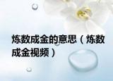 炼数成金的意思（炼数成金视频）
