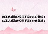 哈工大威海分校是不是985分数线（哈工大威海分校是不是985分数线）
