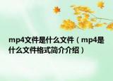mp4文件是什么文件（mp4是什么文件格式简介介绍）