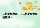 三相变频电源厂（三相变频电源的特点）