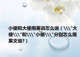 小便和大便用英语怎么说（\
