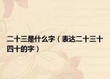 二十三是什么字（表达二十三十四十的字）