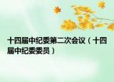 十四届中纪委第二次会议（十四届中纪委委员）