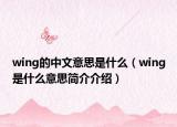 wing的中文意思是什么（wing是什么意思简介介绍）