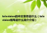 television的中文意思是什么（television缩写是什么简介介绍）