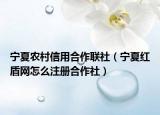 宁夏农村信用合作联社（宁夏红盾网怎么注册合作社）
