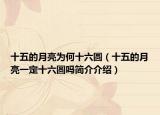 十五的月亮为何十六圆（十五的月亮一定十六圆吗简介介绍）