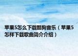 苹果5怎么下载酷狗音乐（苹果5怎样下载歌曲简介介绍）