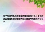 妻子的谎言电视剧里面的插曲歌是什么（妻子的谎言插曲有哪些插曲大全主题曲片尾曲叫什么名字）