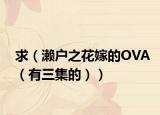 求（濑户之花嫁的OVA（有三集的））