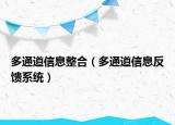 多通道信息整合（多通道信息反馈系统）