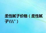 柔性腻子价格（柔性腻子\