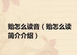 贻怎么读音（贻怎么读简介介绍）