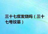 三十七度发烧吗（三十七号坟墓）