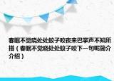 春眠不觉晓处处蚊子咬夜来巴掌声不知所措（春眠不觉晓处处蚊子咬下一句呢简介介绍）