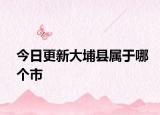 今日更新大埔县属于哪个市