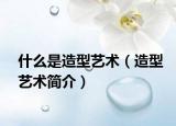 什么是造型艺术（造型艺术简介）