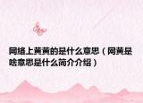 网络上黄黄的是什么意思（网黄是啥意思是什么简介介绍）