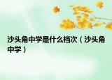 沙头角中学是什么档次（沙头角中学）