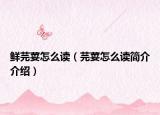 鲜芫荽怎么读（芫荽怎么读简介介绍）
