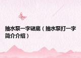 抽水泵一字谜底（抽水泵打一字简介介绍）