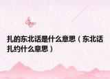 扎的东北话是什么意思（东北话扎约什么意思）