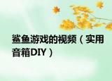 鲨鱼游戏的视频（实用音箱DIY）