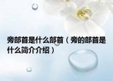 旁部首是什么部首（旁的部首是什么简介介绍）